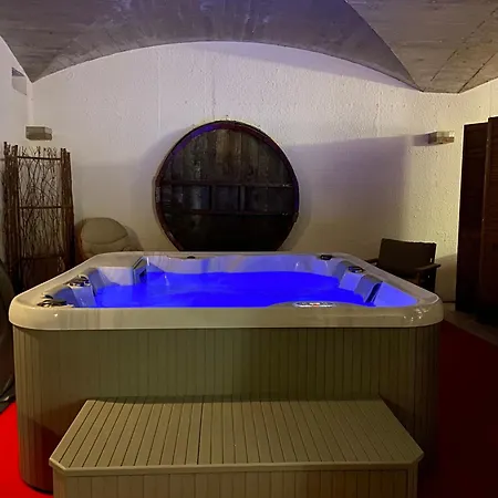 莱斯德桑纳豪华旅馆 酒店 Chénas