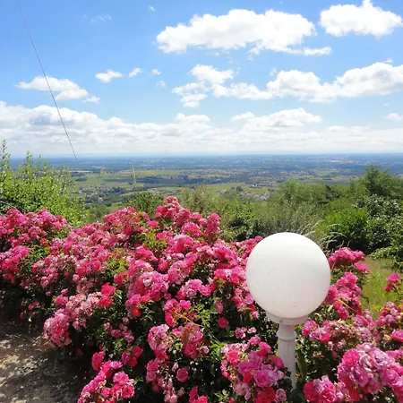 Les Hauts De * Chénas