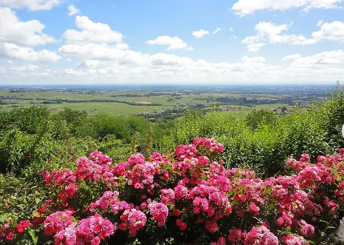 ホテル Les Hauts De Chénas