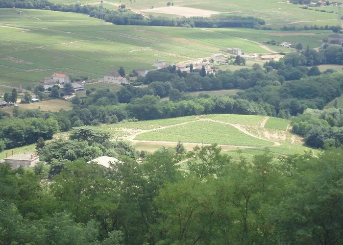 Les Hauts De *