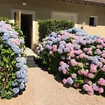 Les Hauts De Hotel *