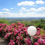 Les Hauts De * Chénas