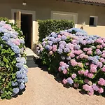 Hotel Les Hauts De