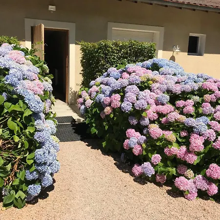 Les Hauts De Hotel *