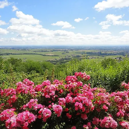 Hotel Les Hauts De Chenas