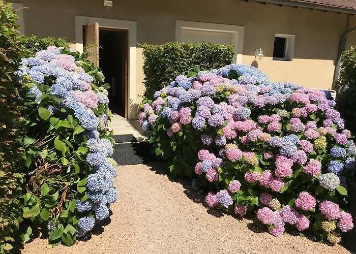 Les Hauts De Hotel *